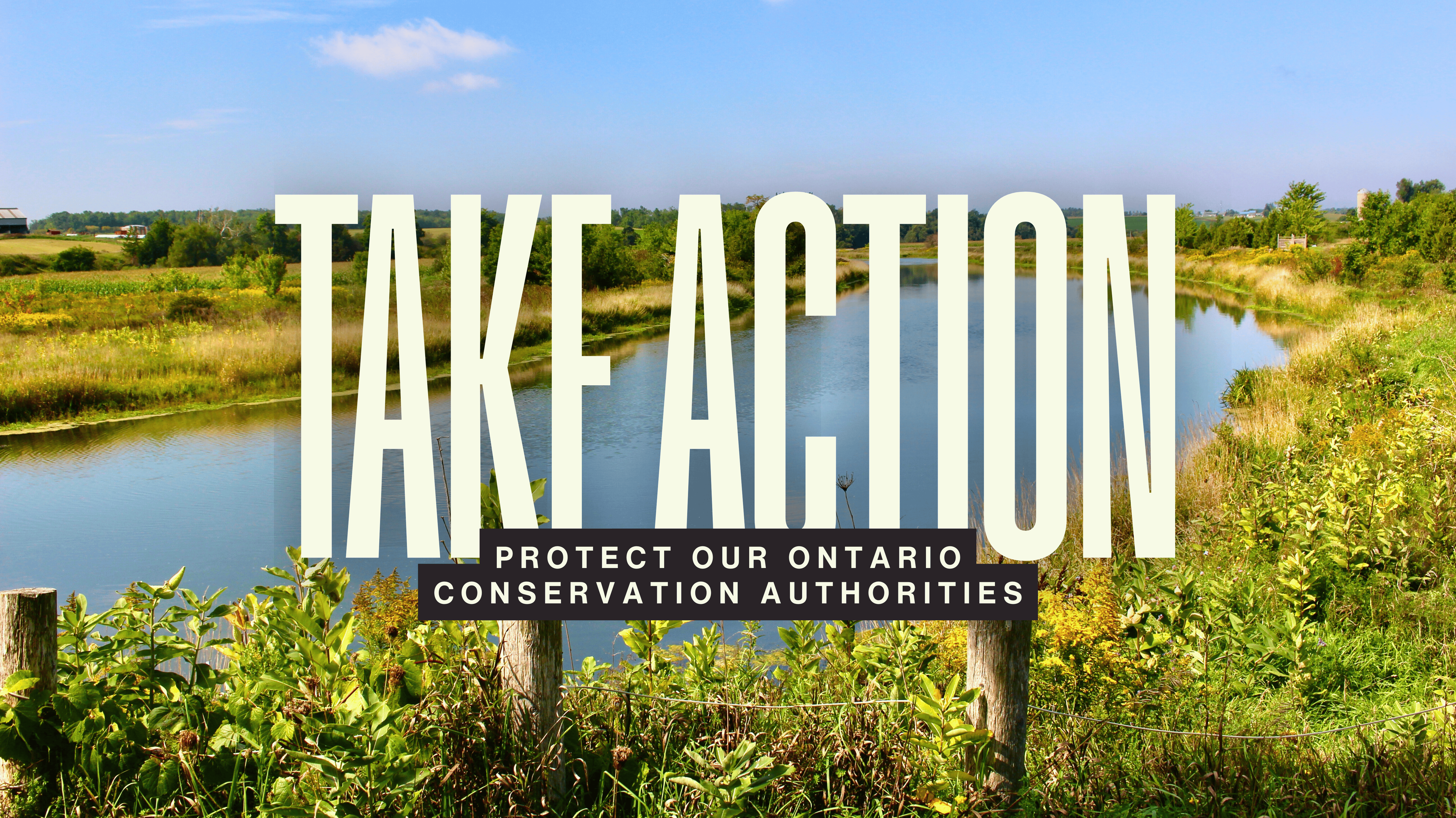 Email Feature Donate Images %282%29