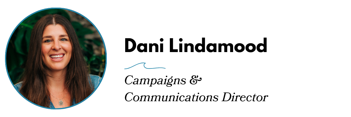 WW Email Header Images %2813%29