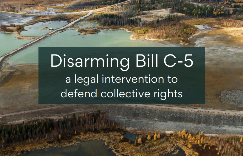 co intervenor image