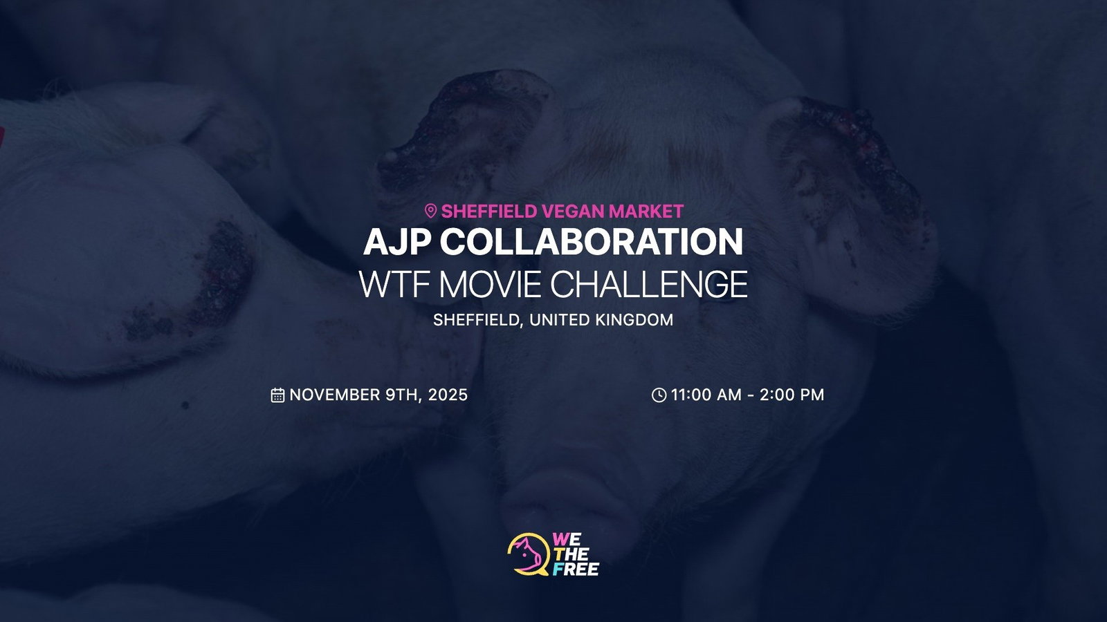 WTF: Sheffield, England - WTF x AJP Movie Challenge, November 9th, 2025