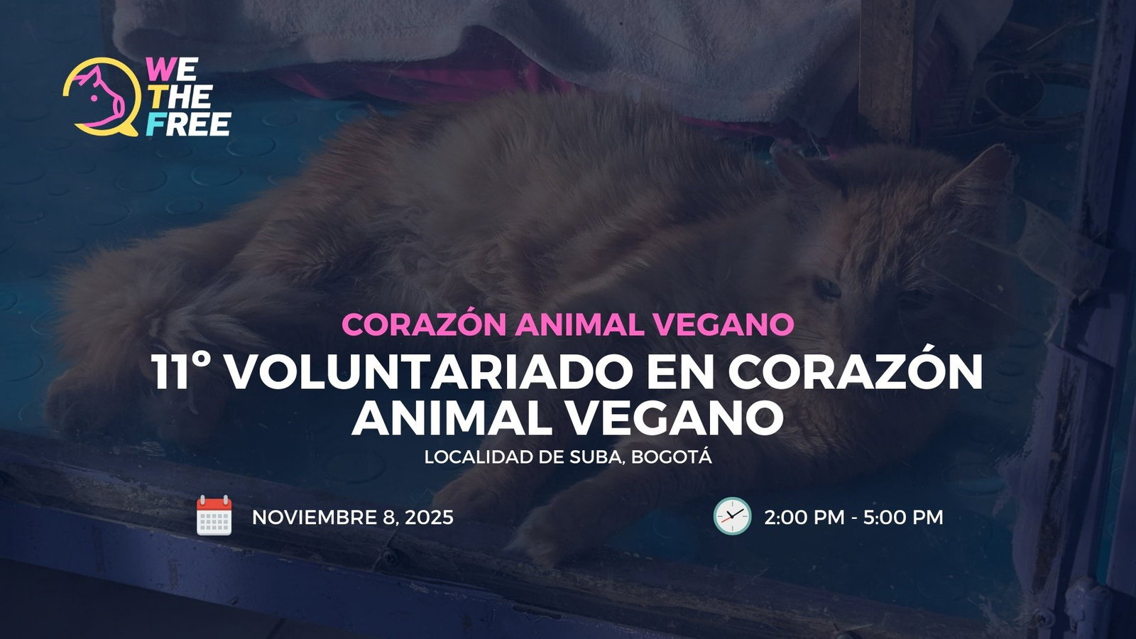 11º Voluntariado en Corazón Animal Vegano