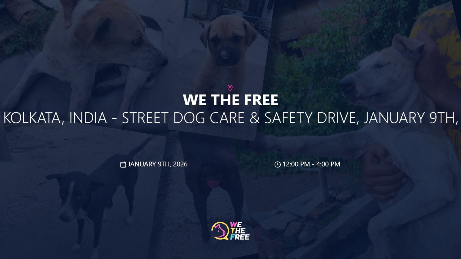 WTF: Kolkata, India - Street Dog Care & Safety Drive, January 9th, 2026