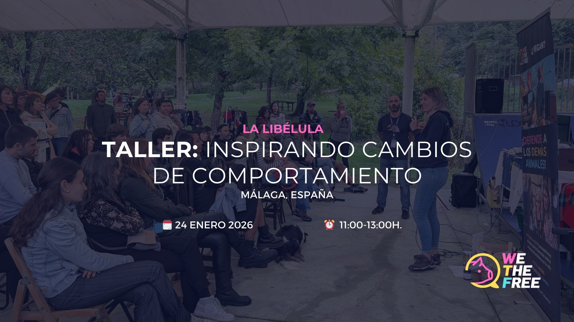 WTF: Málaga, Spain - Taller + comida, 24 enero, 2026