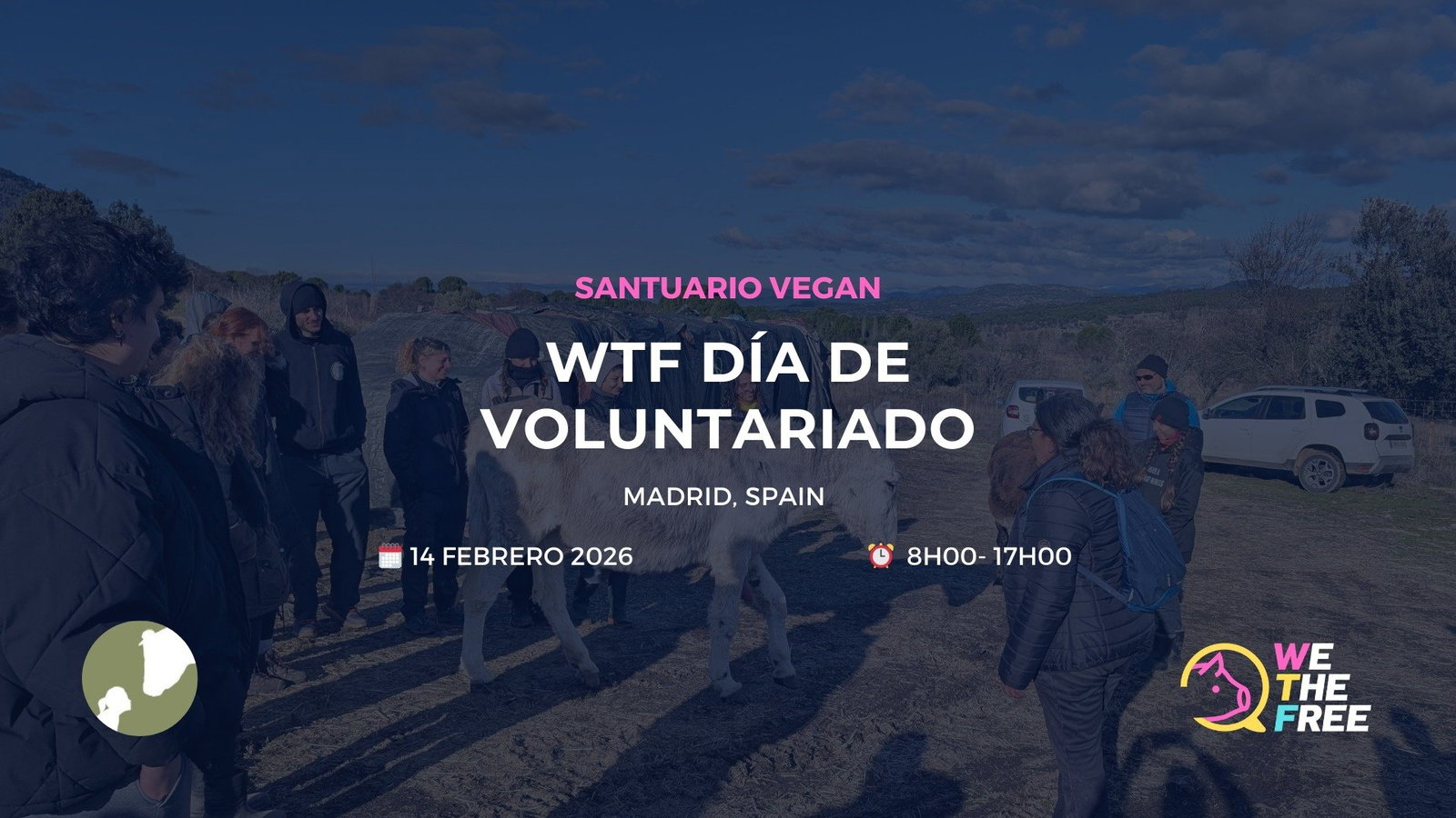 WTF: Madrid, Spain - Social, 14 de febrero de 2026