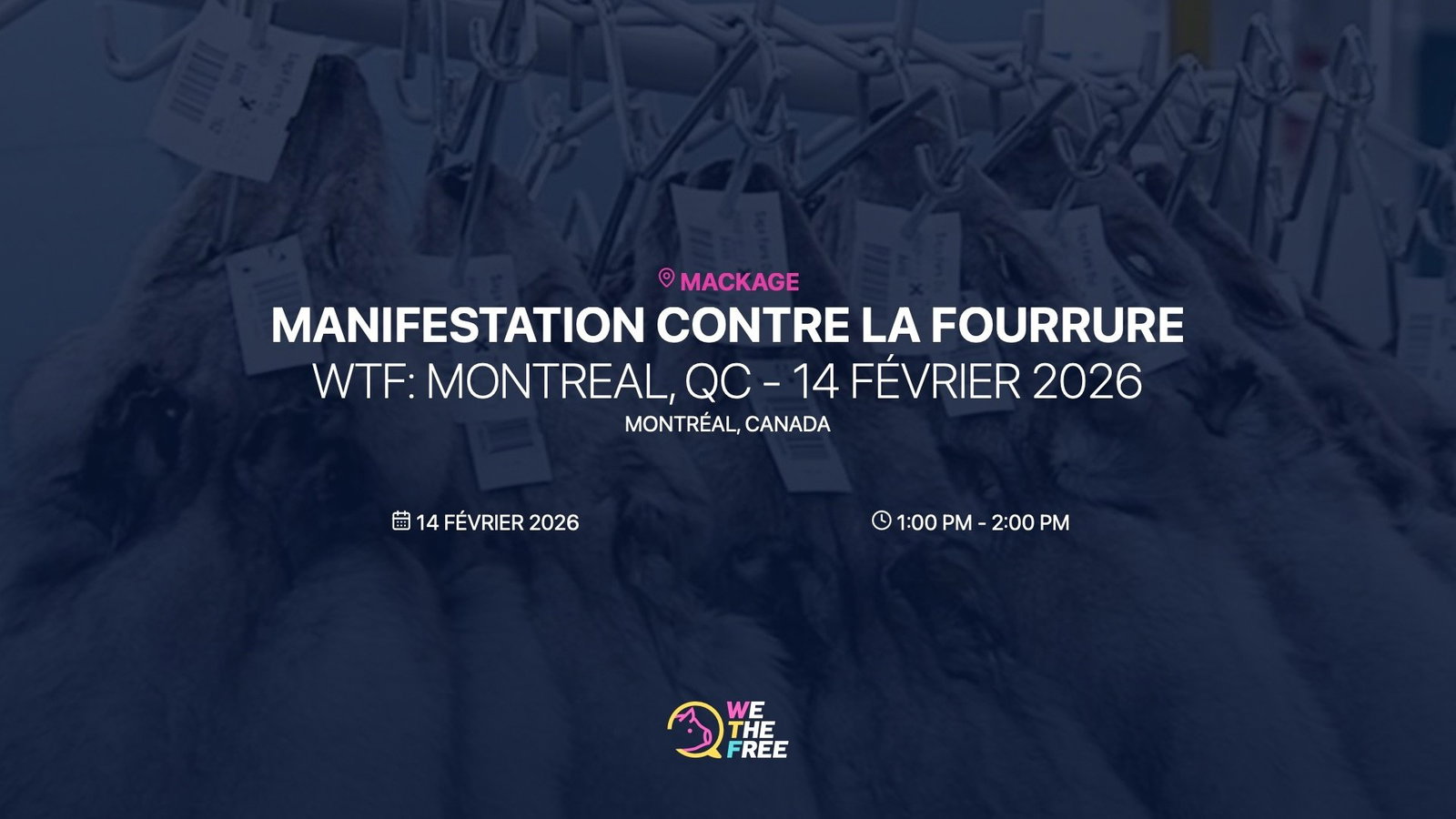 WTF: Montreal, QC - 14 février 2026