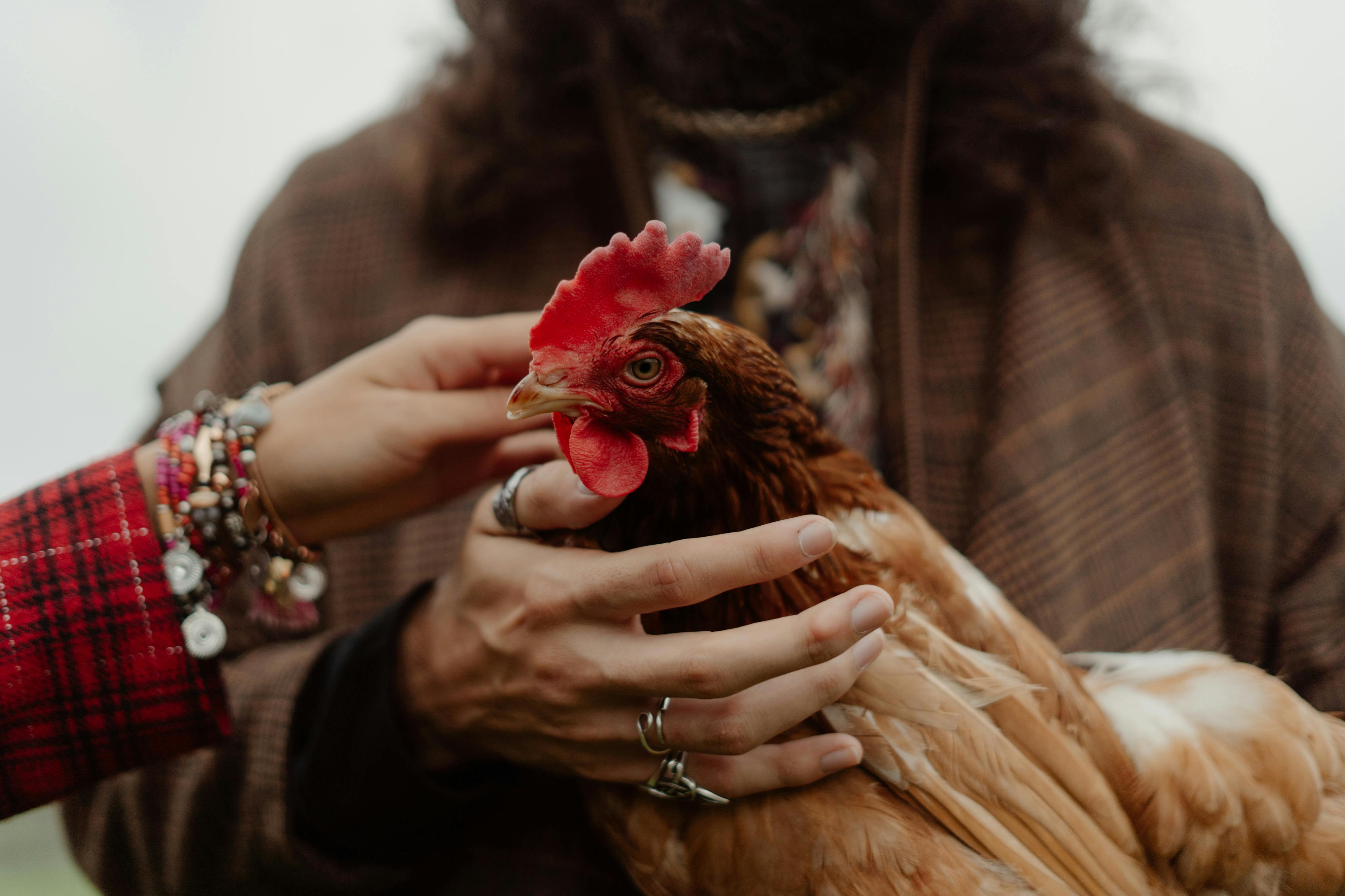 How your values already align with veganism