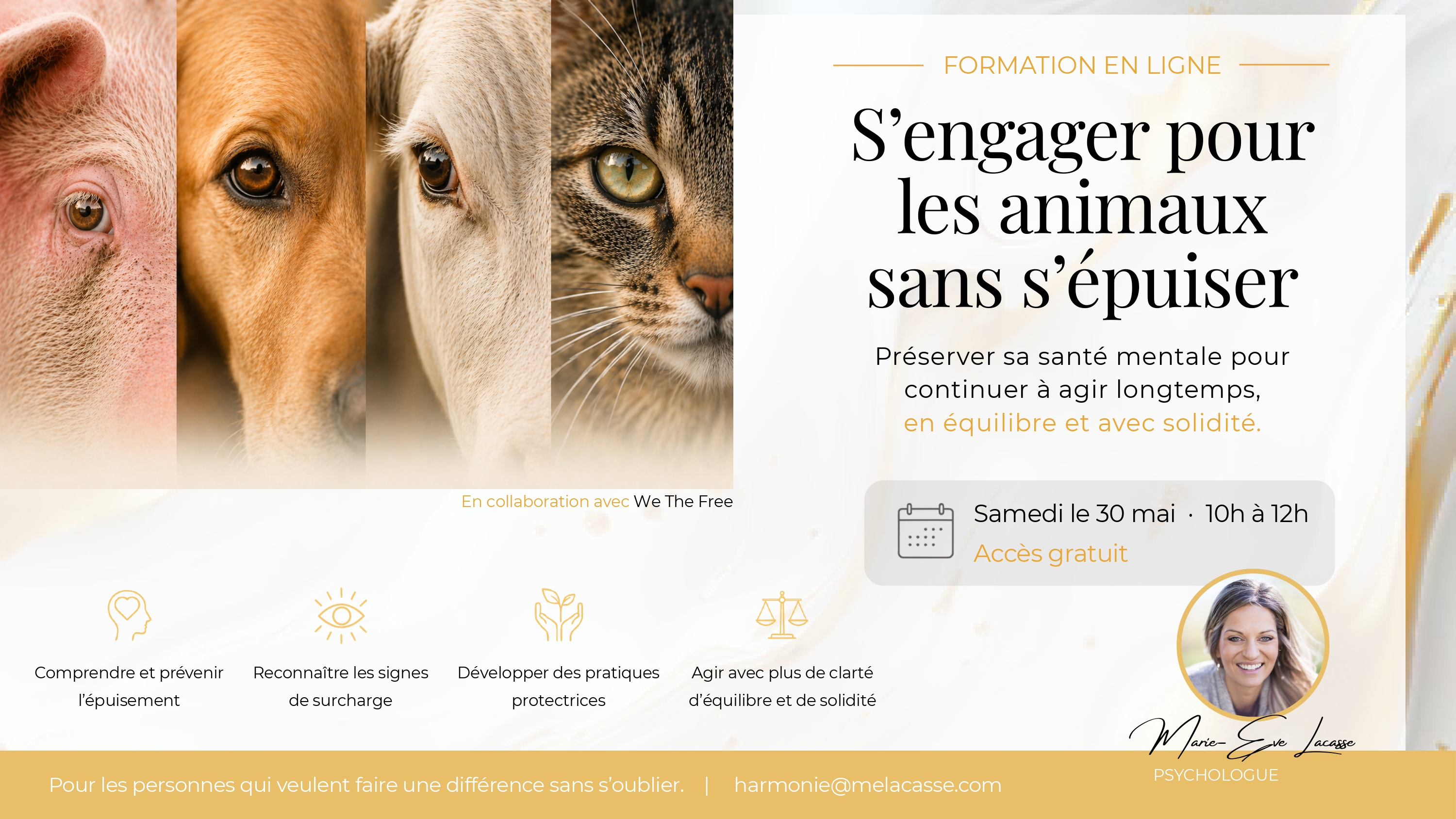 S’engager pour les animaux sans s’épuiser