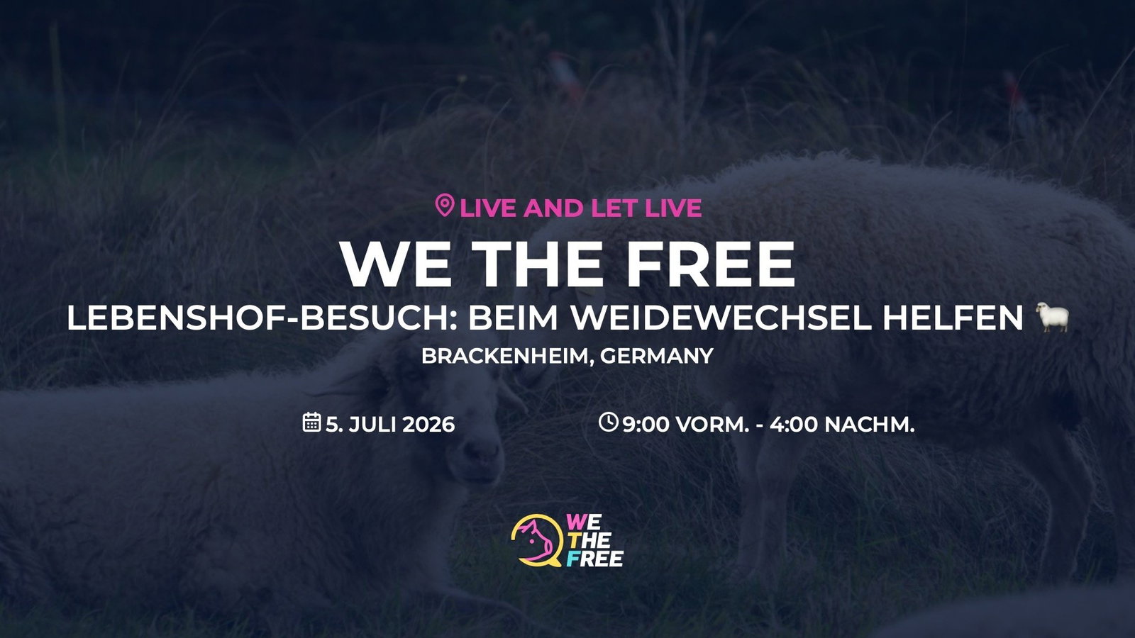 Lebenshof-Besuch: Beim Weidewechsel helfen 🐑