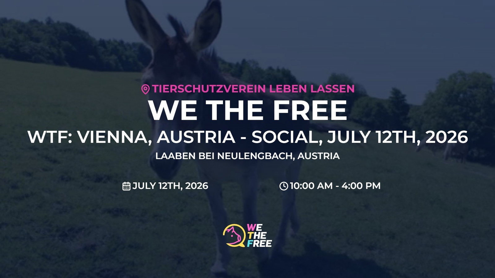 WTF: Vienna, Austria - Social, July 12th, 2026