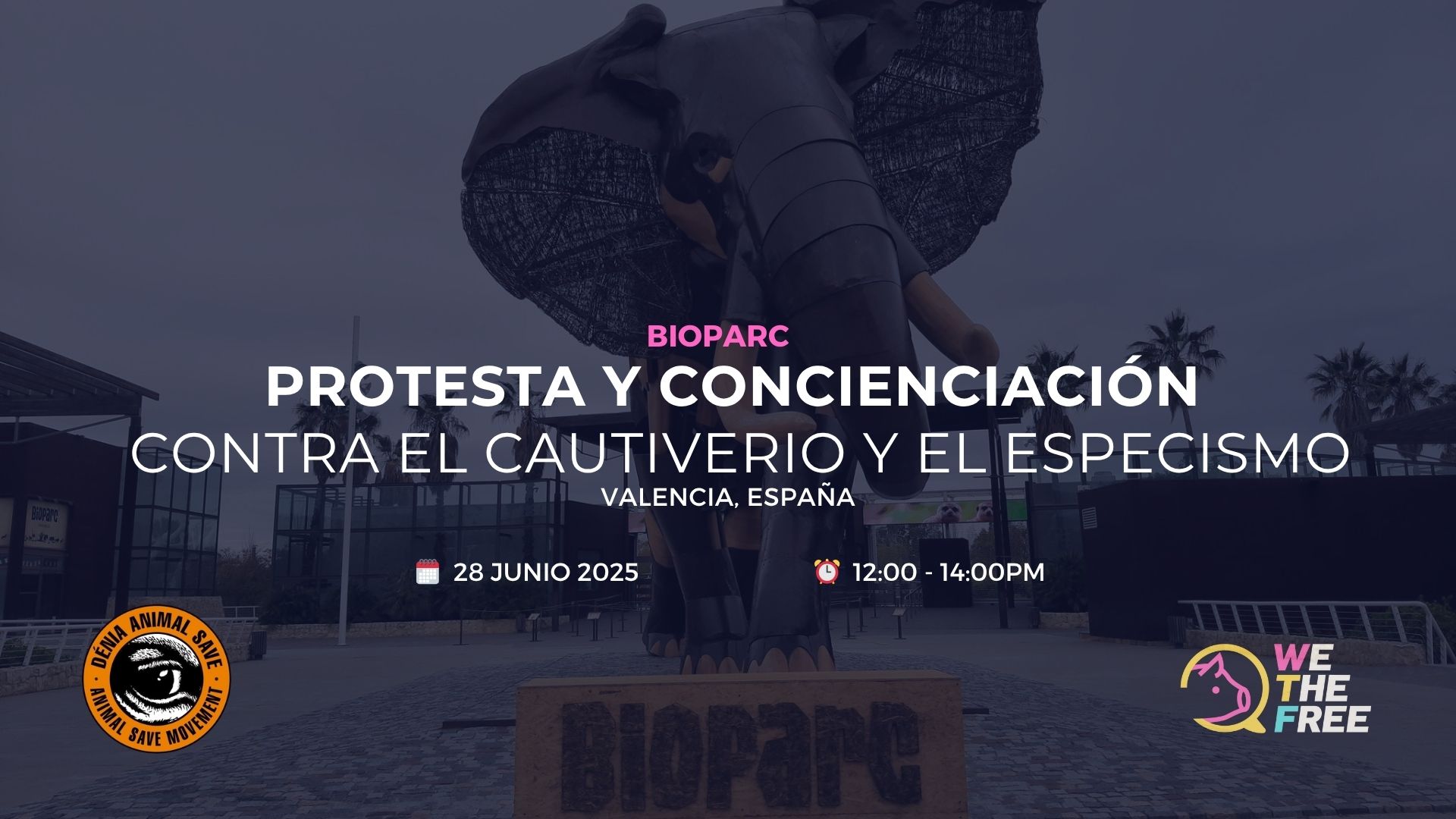 WTF Protest: Valencia, Spain – 28 June 2025