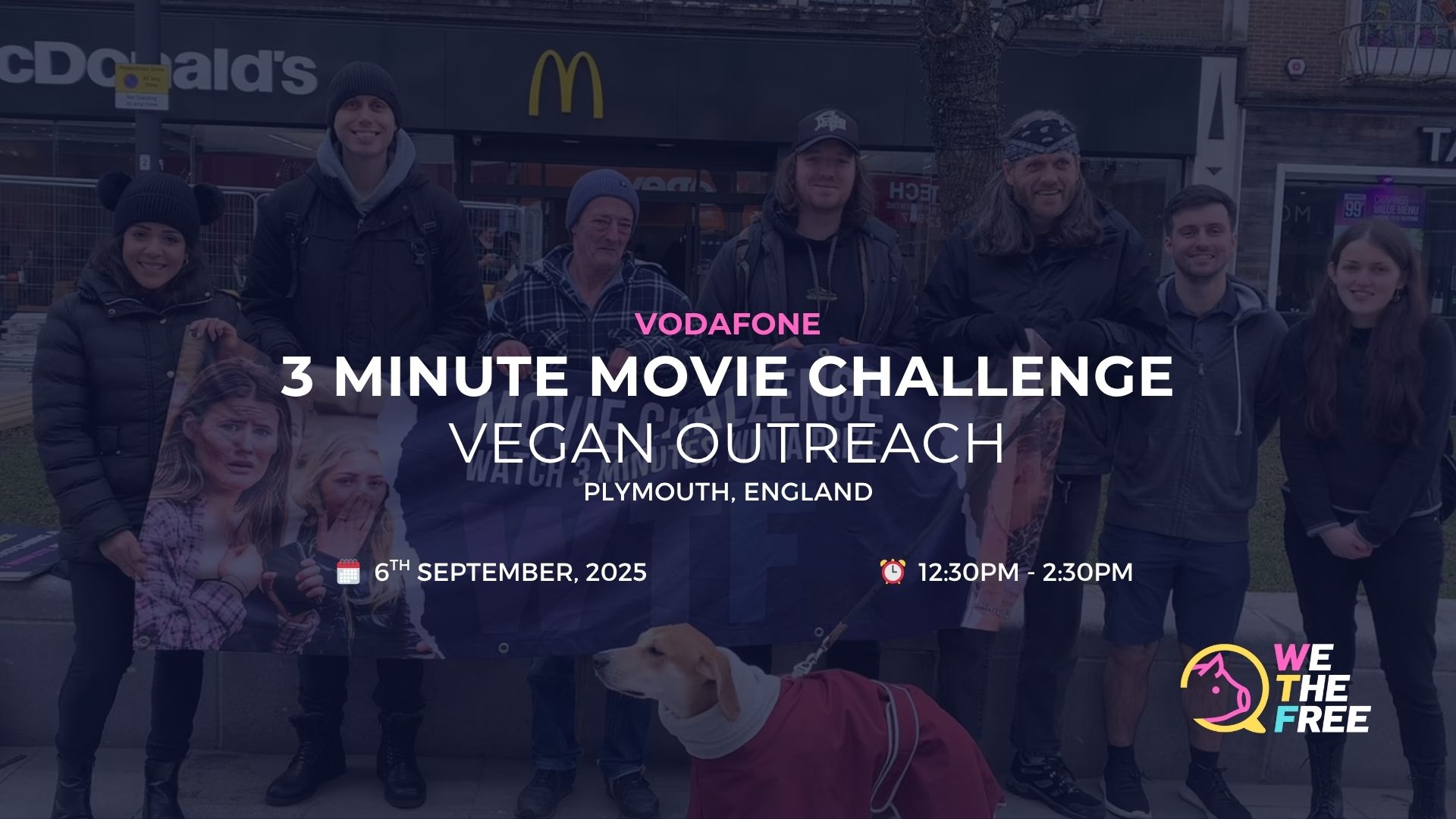 WTF 3MMC: Plymouth, England – 6 September 2025