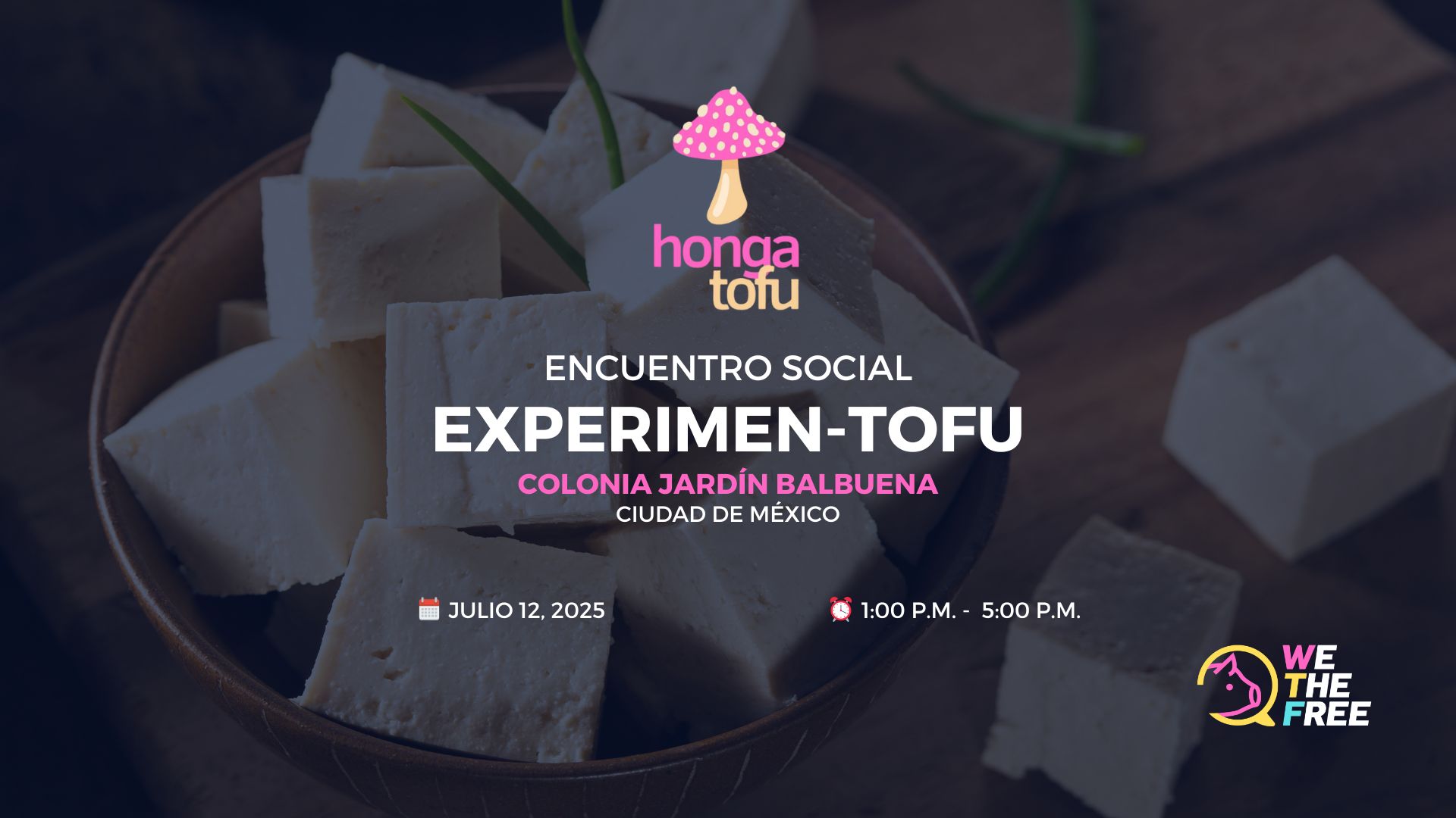 Experimen-tofu: Ciudad de Mexico, Mexico – 12 July 2025