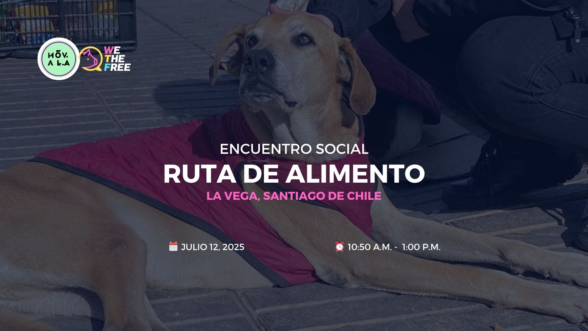 WTF - MOVALA Evento Social: Santiago de Chile, Chile – 12 Julio 2025