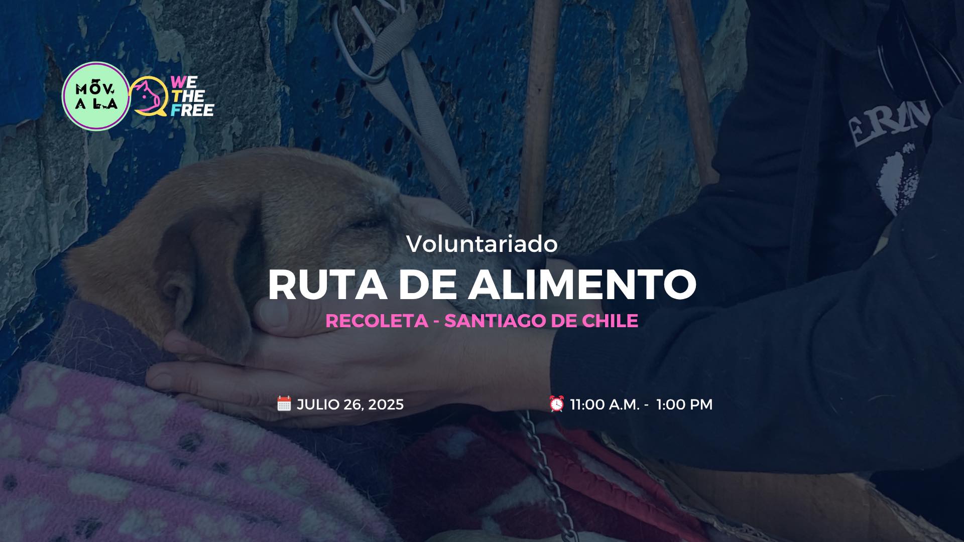 WTF Social: Ruta de alimento: Santiago, Chile – 26 Julio 2025