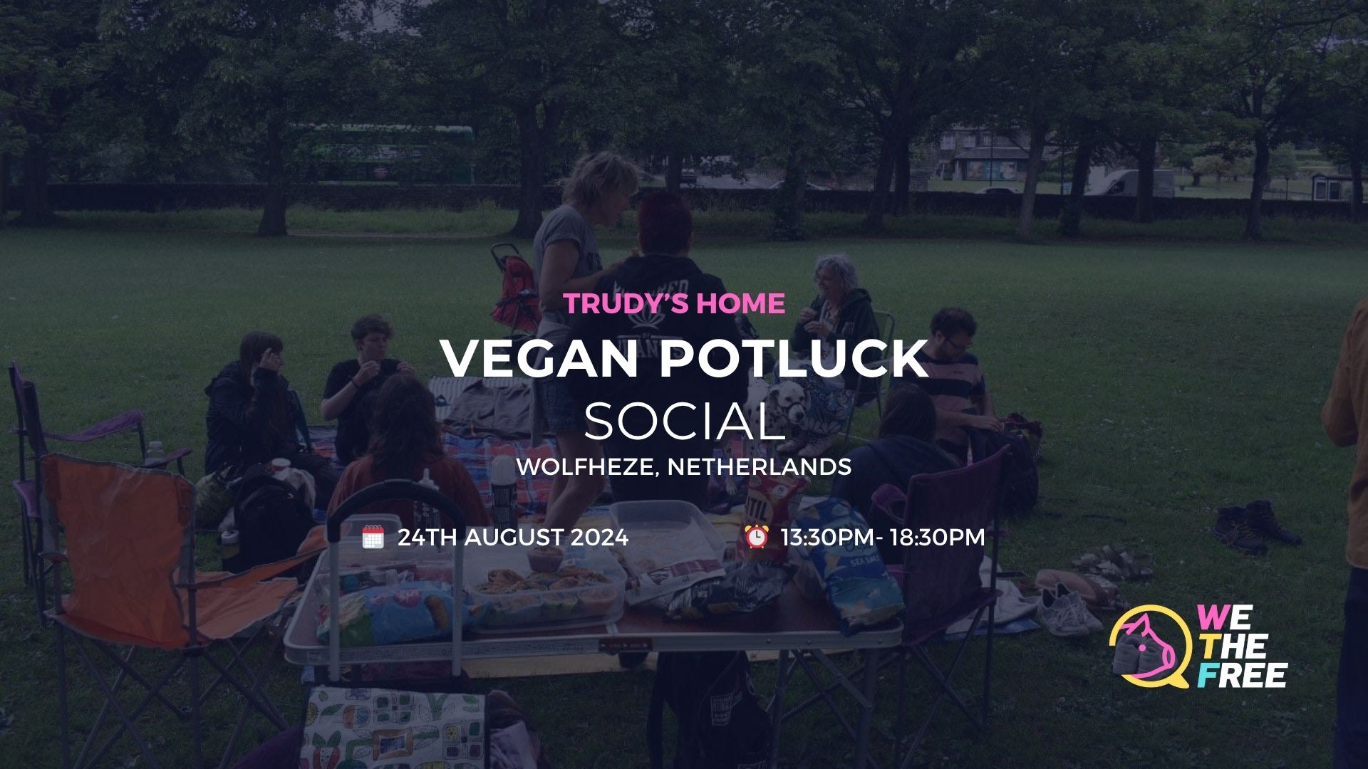 WTF Social: Arnhem, Netherlands – 24 August 2025