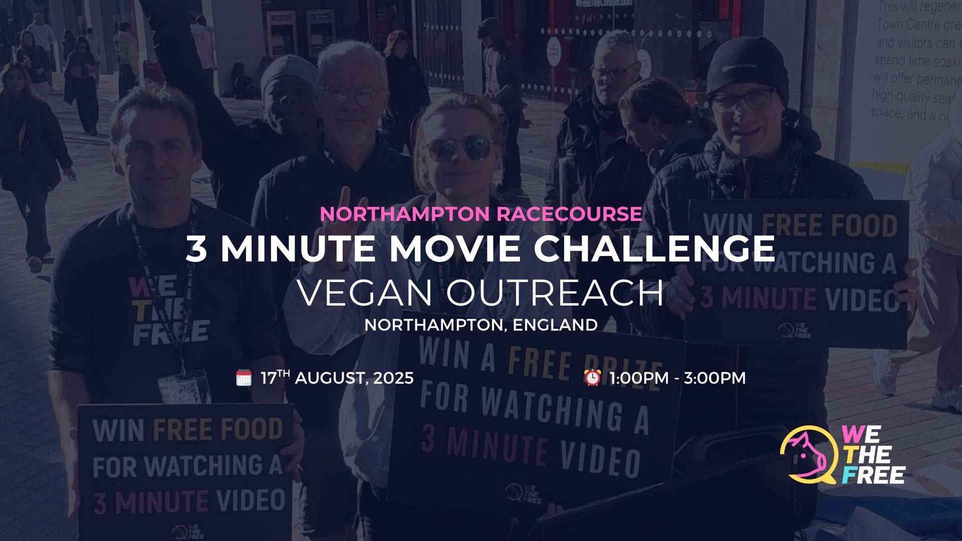 WTF 3MMC: Northampton, England – 17 August 2025