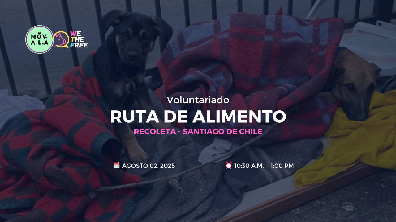 Ruta de Alimento – Santiago de Chile – 2 Agosto 2025