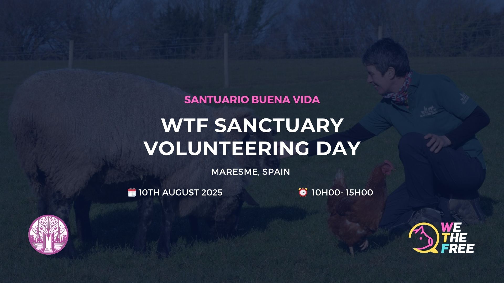WTF Sanctuary Volunteer: Maresme, Spain – 10 August 2025