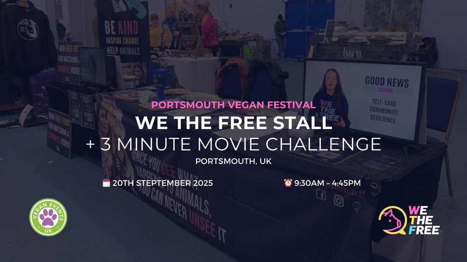 WTF Stall & 3MMC: Portsmouth, United Kingdom – 20 September 2025