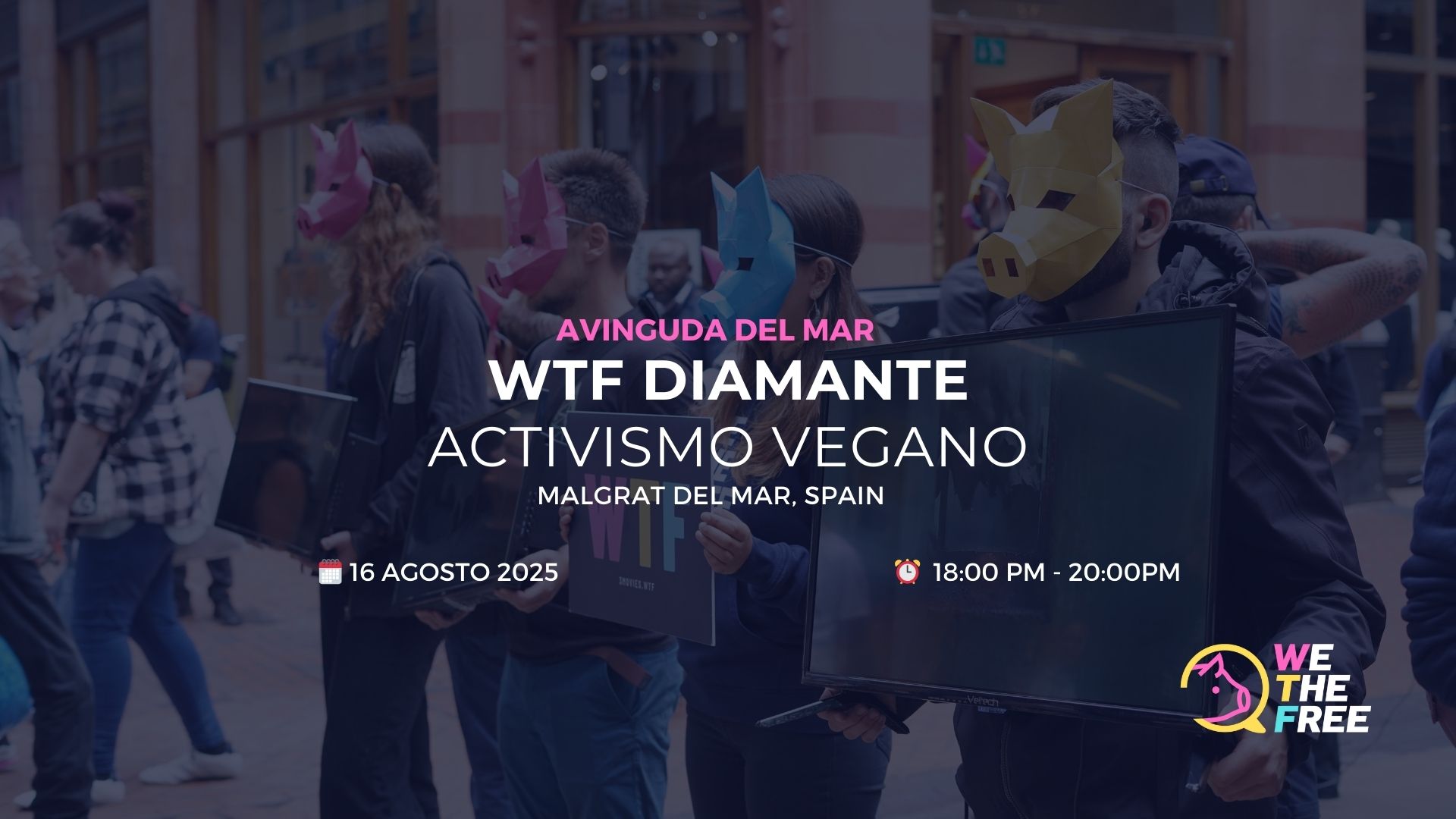 WTF Diamond: Maresme, Spain – 16 August 2025