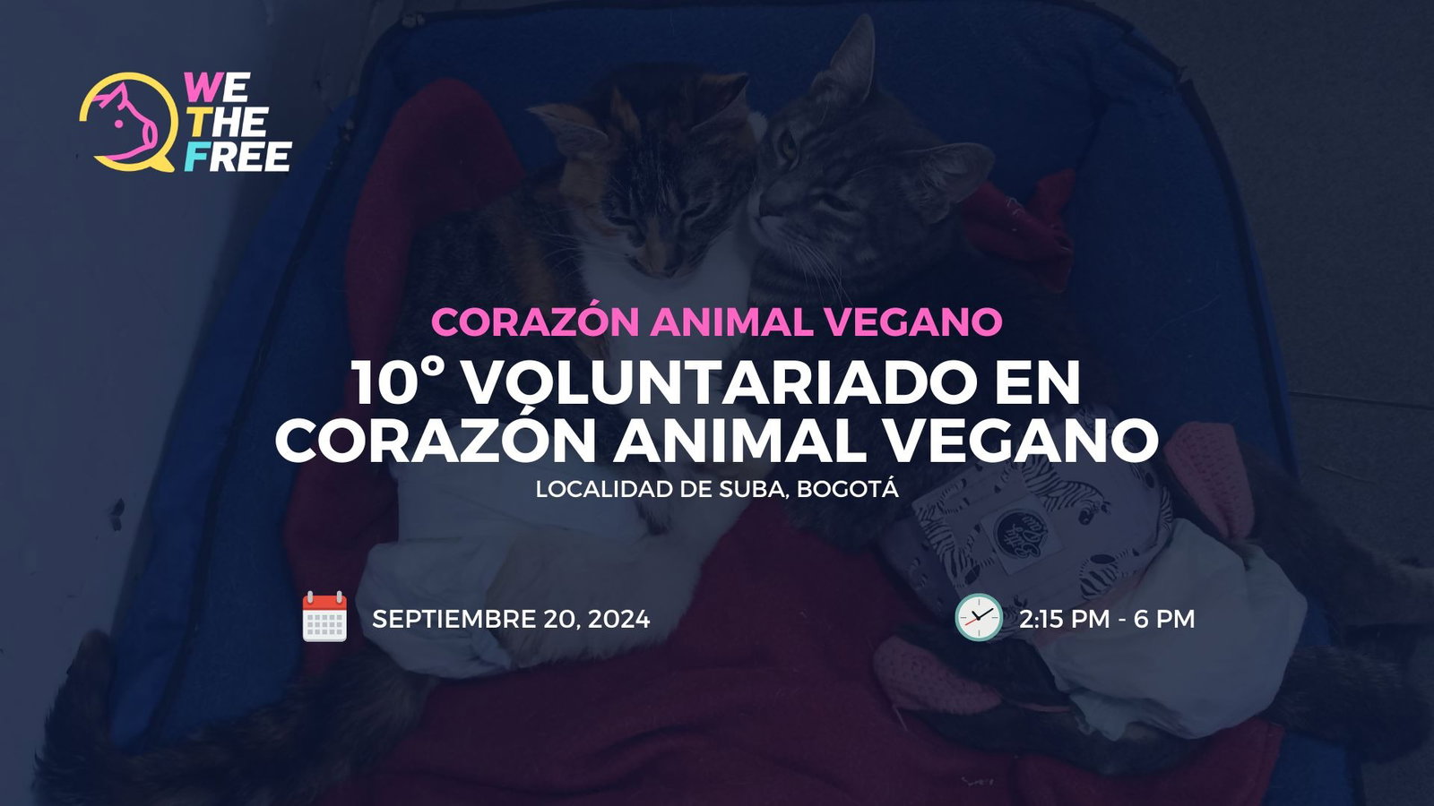 10º Voluntariado en Corazón Animal Vegano
