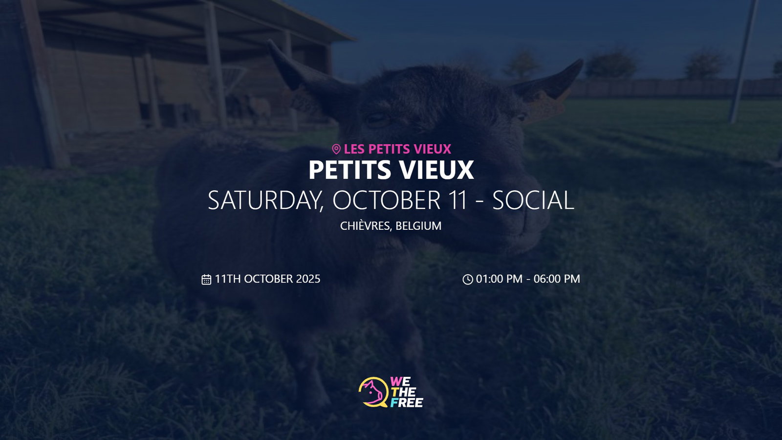 Saturday, October 11 - Social