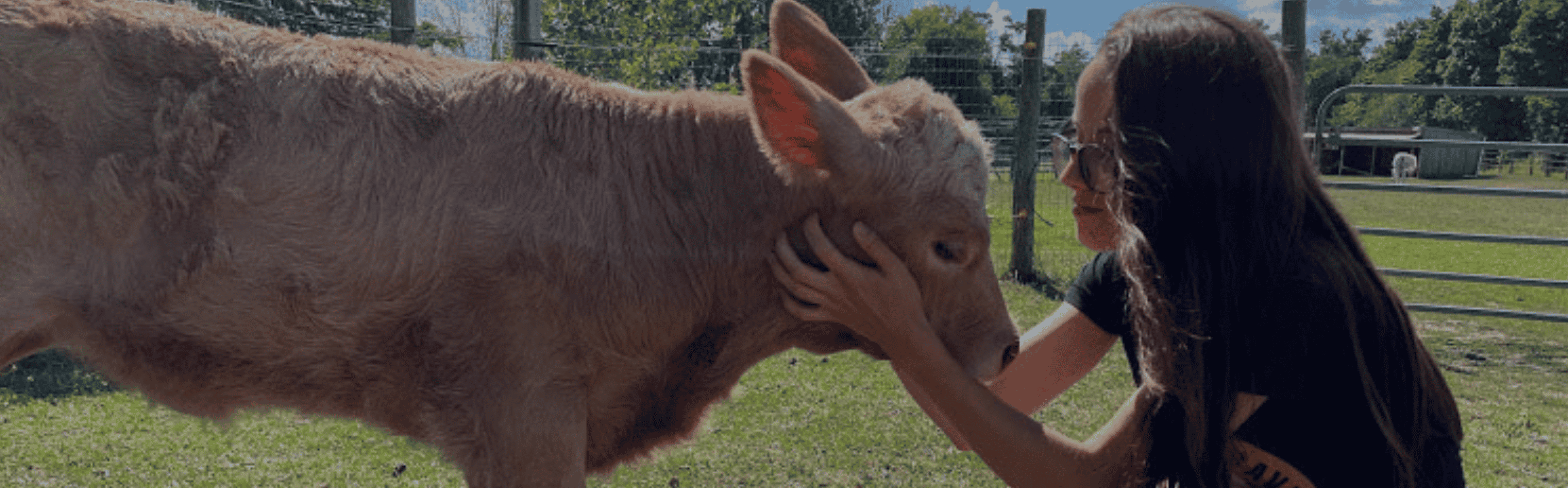 Jen's 150km in 30 days Challenge 🏃‍♀️