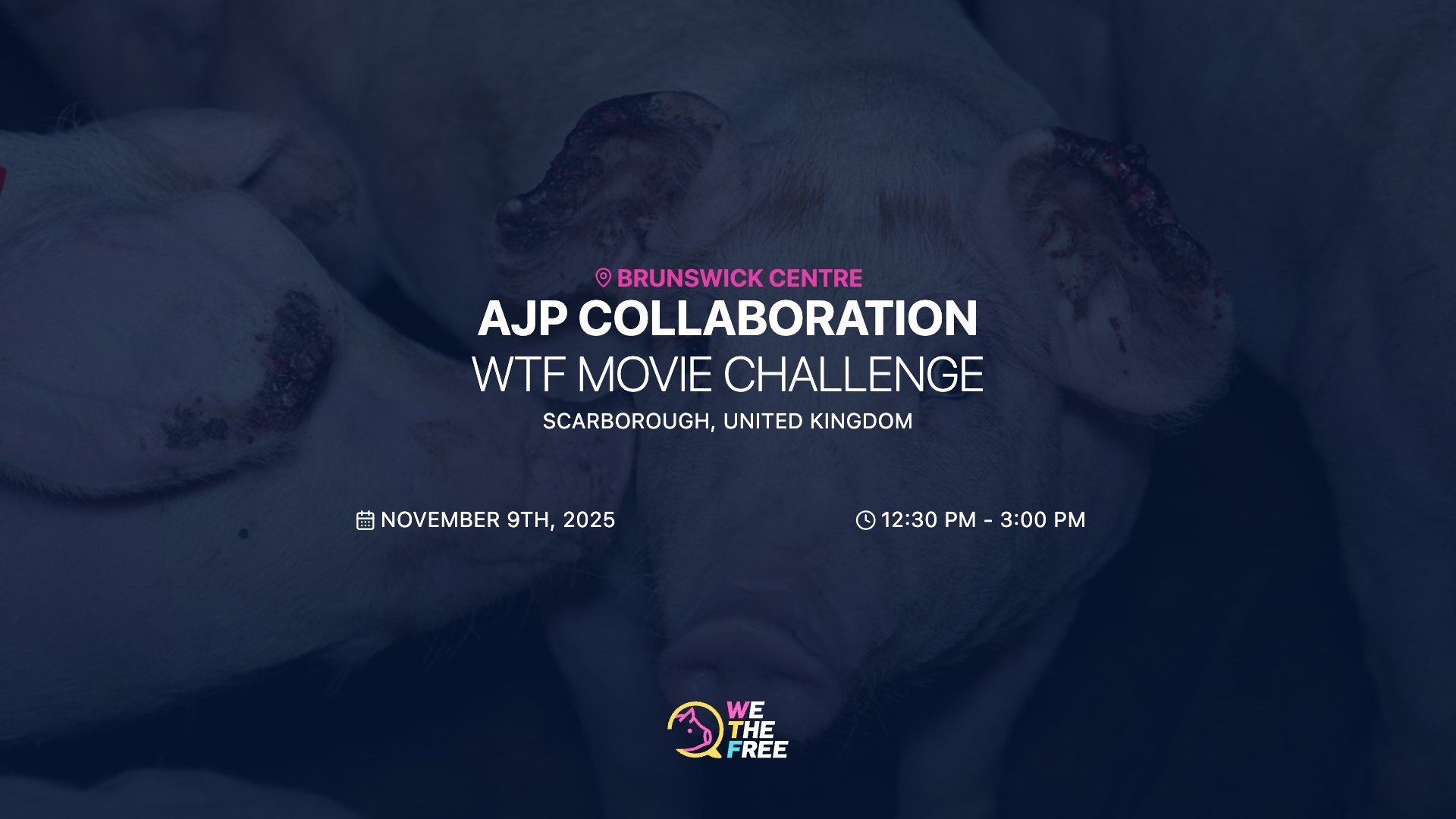 WTF: Scarborough, England - WTF Movie Challenge, November 9th, 2025