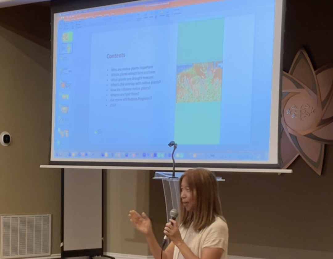 Shelkie Native Gardens