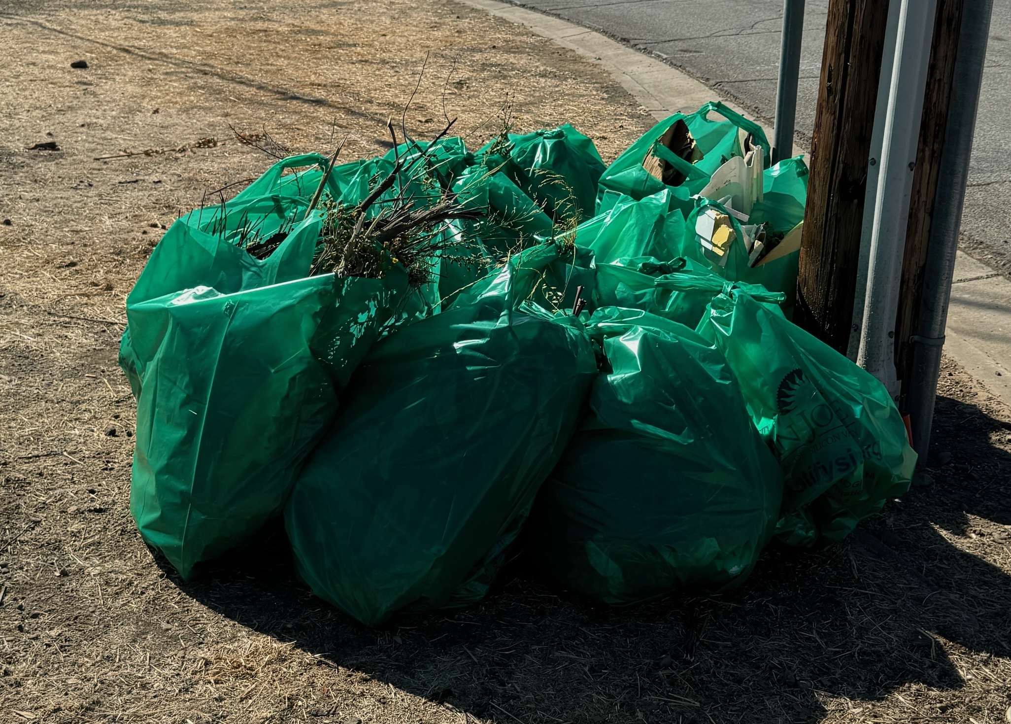 Full Trash Bags