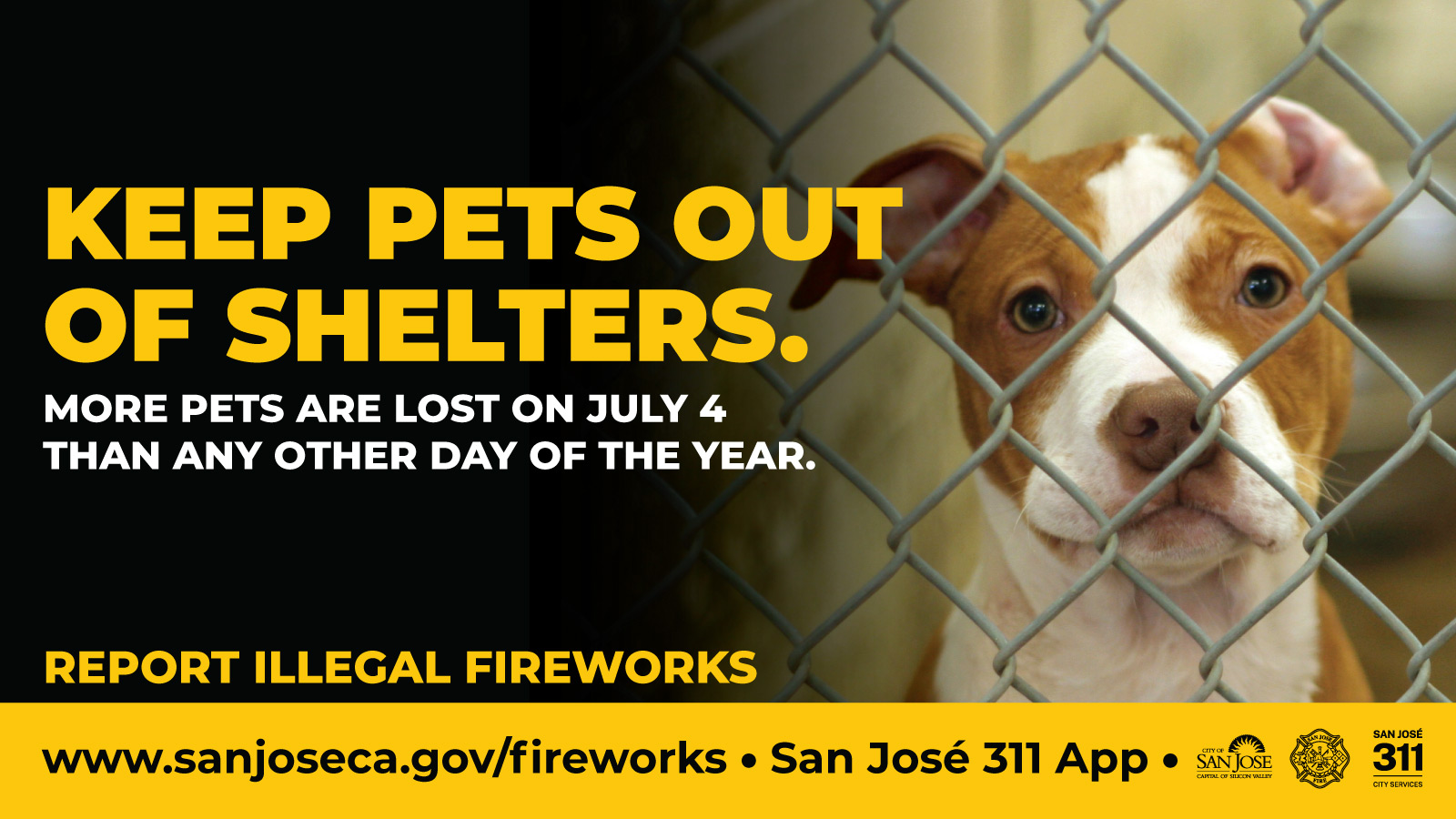 Keep pets out of shelters