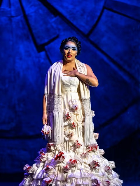 Ivy+ Night at Cirque du Soleil LUZIA