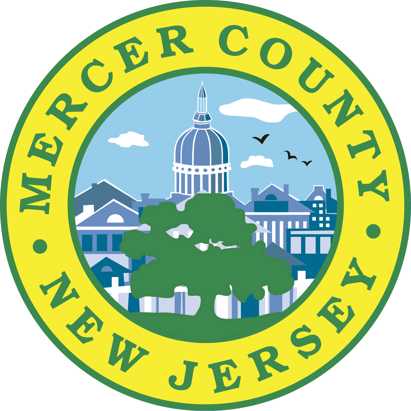 Mercer Networking Group 