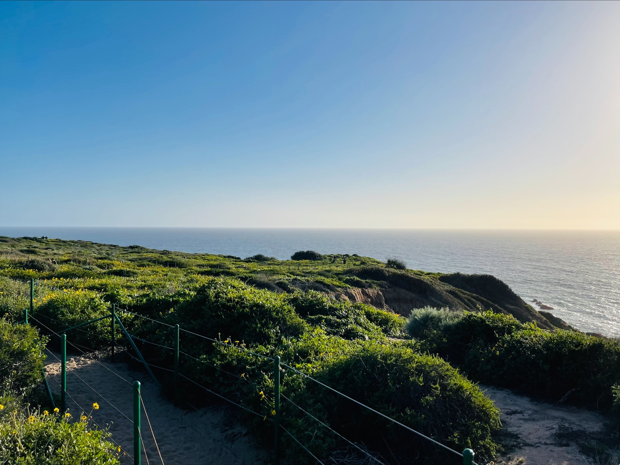 Wharton x Penn x Columbia – Laguna Beach Hike - Sun Sep 14 10AM