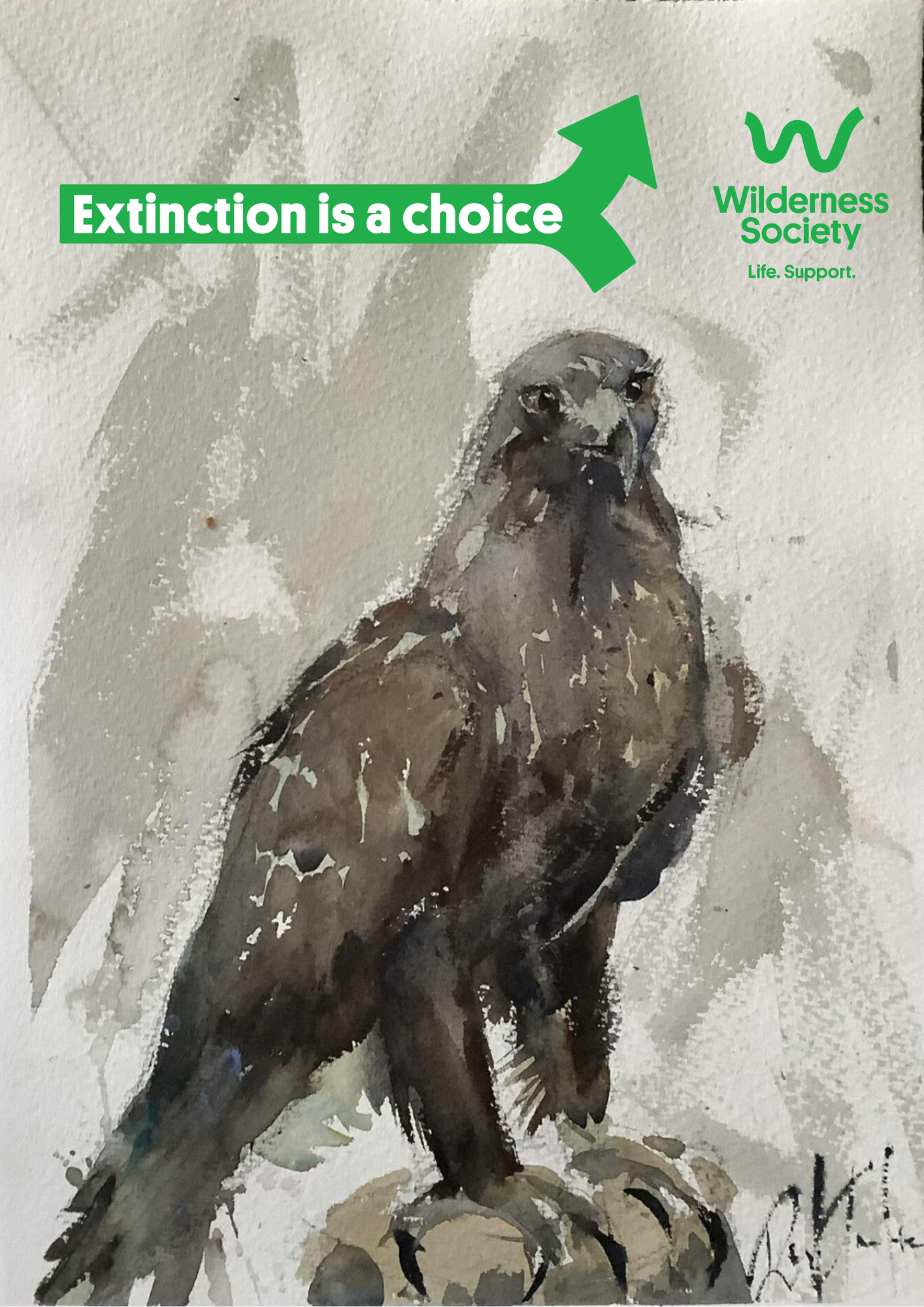 A brown, grey and white watercolour image of a majestic and strong-looking Tasmanian Wedge-Tailed Eagle perched atop a rock on a white and grey background. Painted by Palawa watercolour artist Rod Gardner. In green at the top of the image, reads "Extinction is a choice" with a fork in the road and an arrow pointing up. In the top right hand corner is the Wilderness Society logo, a flowing "W" taken from a bend in the Franklin River.