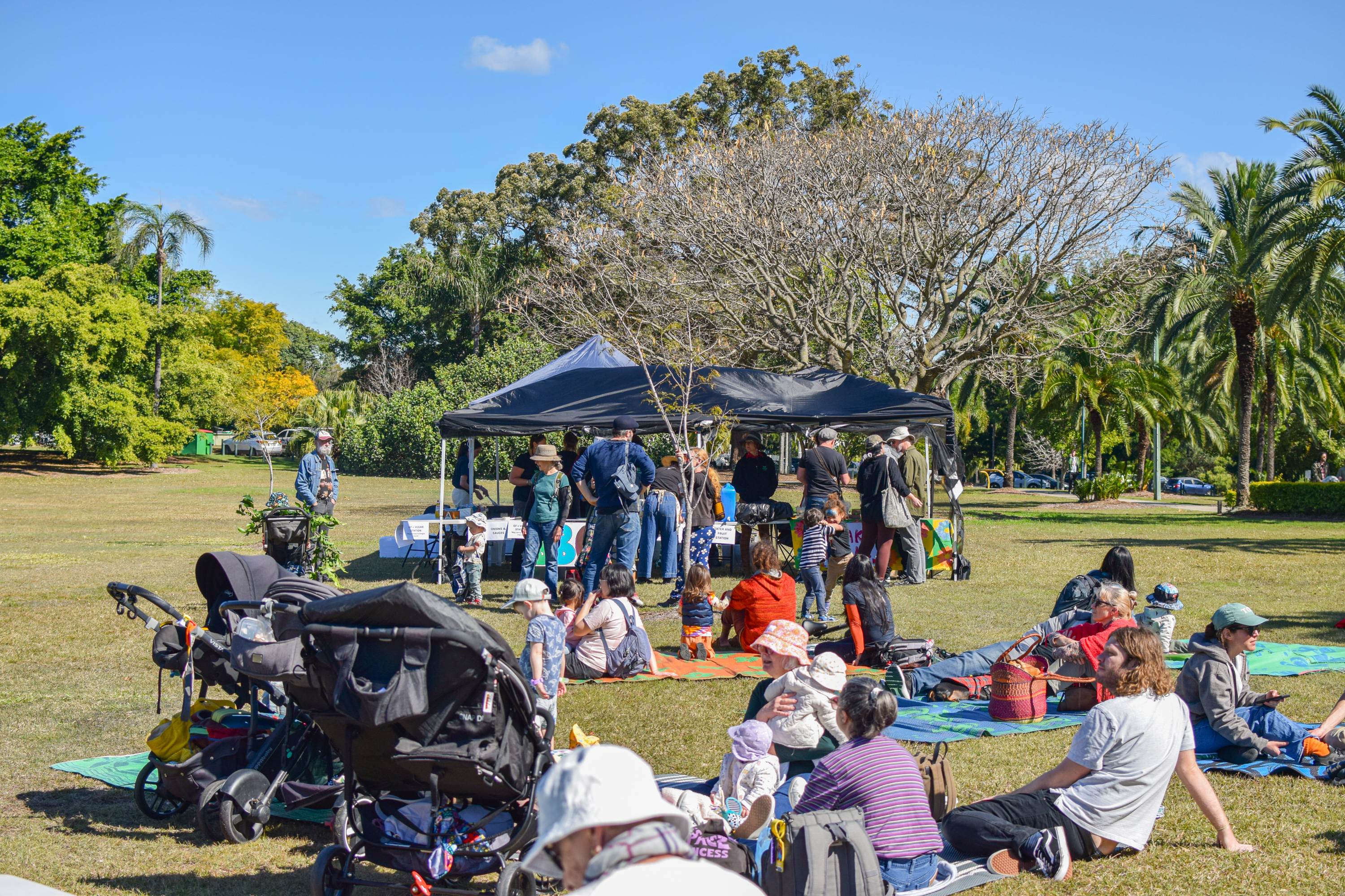 A group of Wilderness Society supporters gather for a family-friendly event in a park on a sunny day