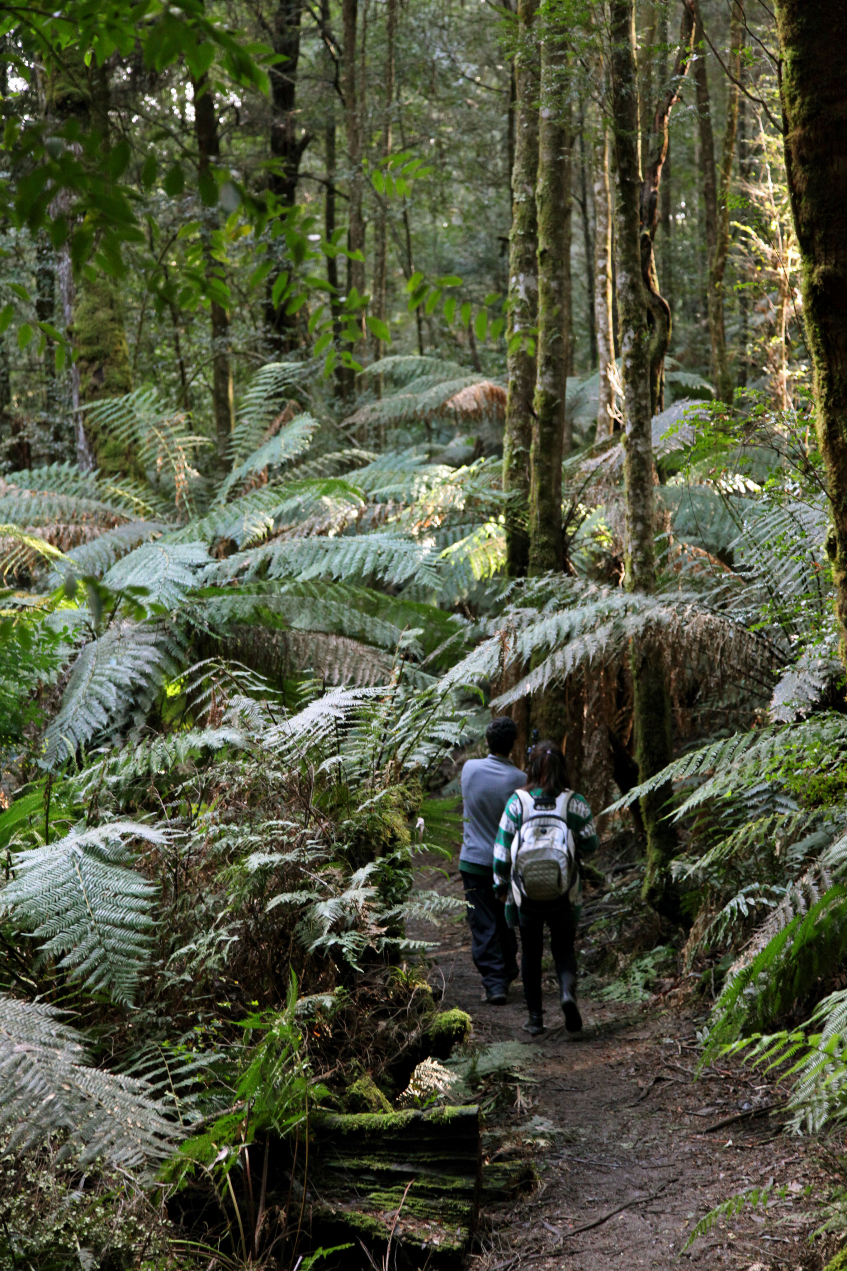 Forest_Tour_March.JPG