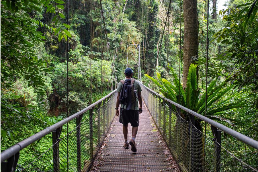 a man walking across a suspension bridge over vast forests