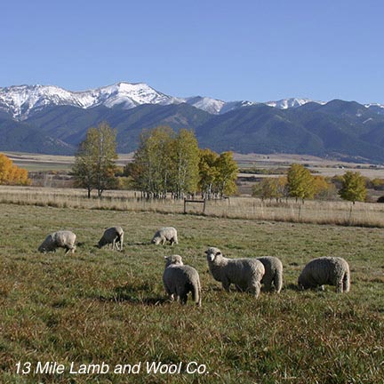 13_Mile_Lamb_and_Wool_Co.jpg