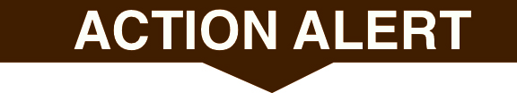 Action_Alert_Bar.jpg Action_Alert_Bar.jpg