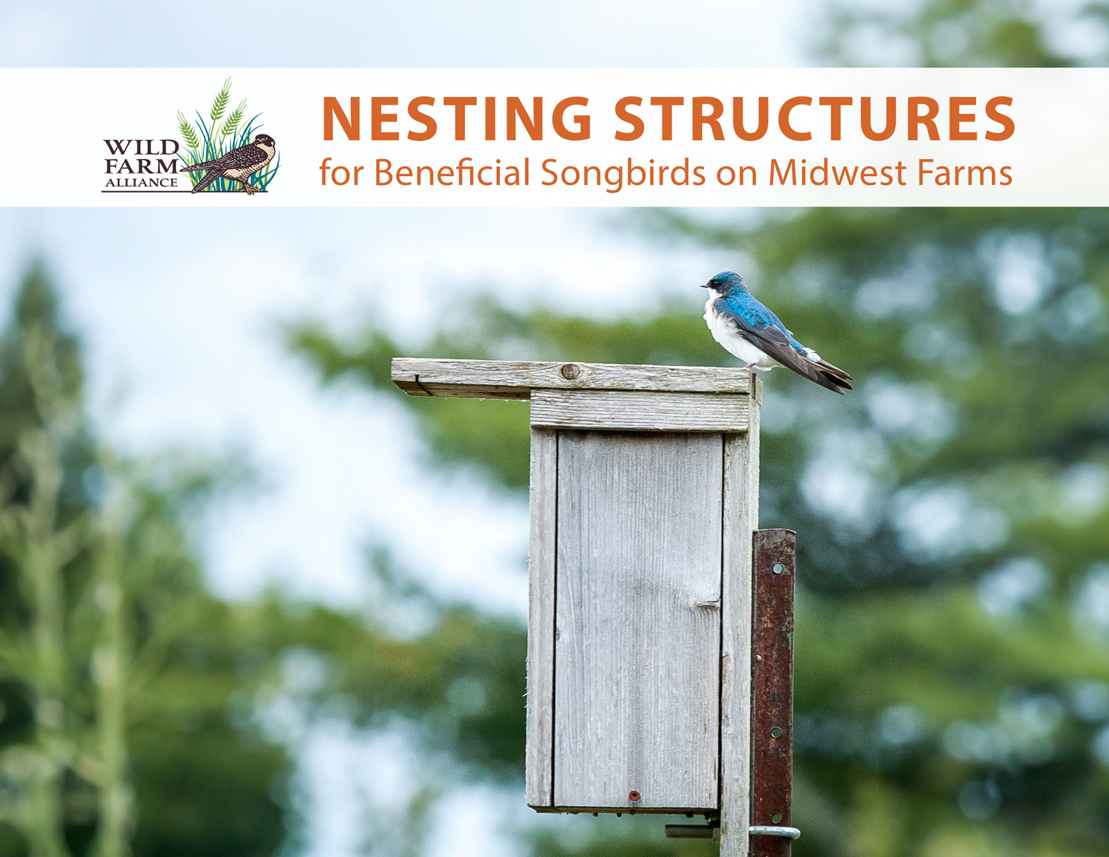 Nesting Structures Cover