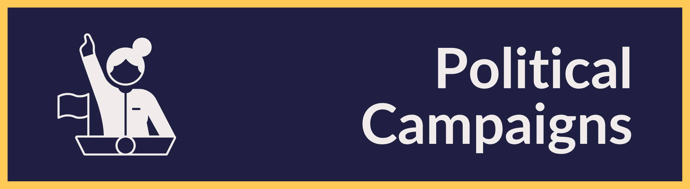 Political Campaigns