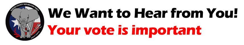 vote_pledge.png