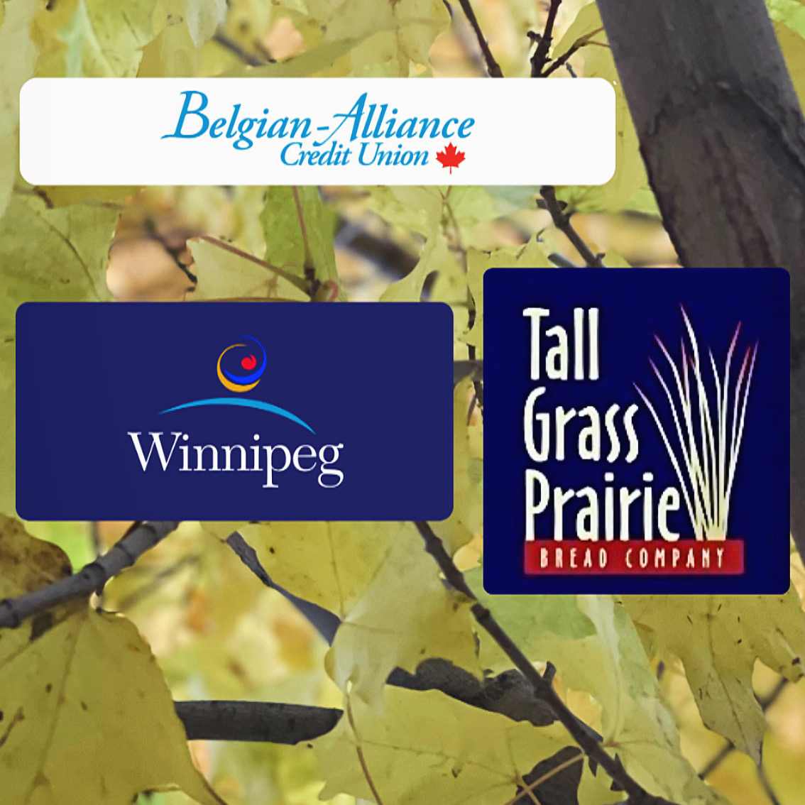 Wolseley 2024 Sponsors