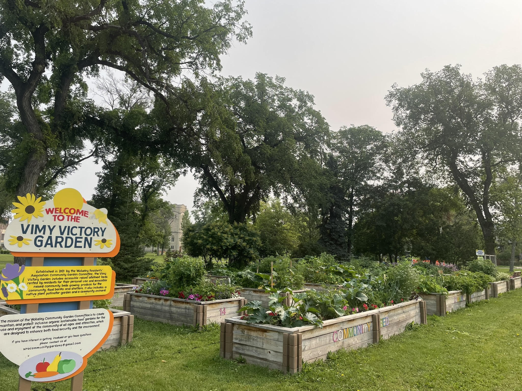 Vimy Victory Garden Summer 2024