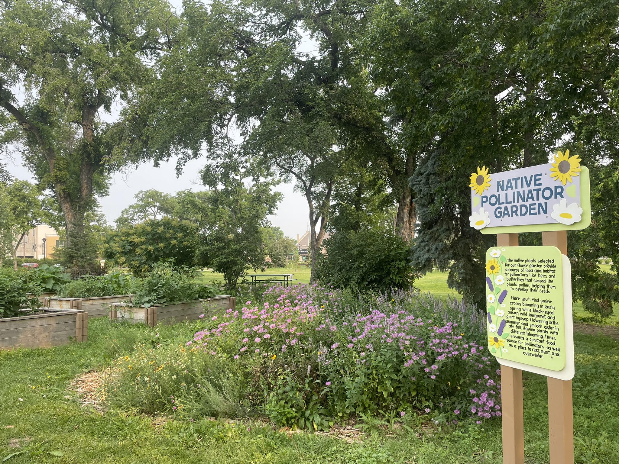 Vimy Victory Garden Summer 2024 - 2