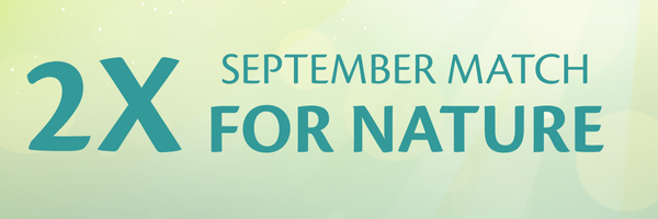 A graphic stating 2x the donations during September Match