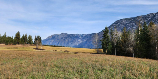 Dillin Farms The Dillin Farms property is near Hall Mountain in Idaho’s Kootenai River Valley. Photo credit: Kanisku Land Trust