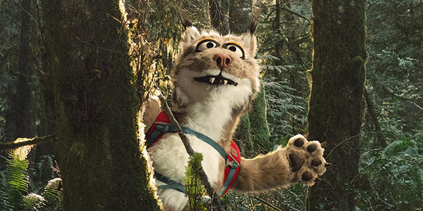 Bruce the lynx Bruce the lynx waves at the camera