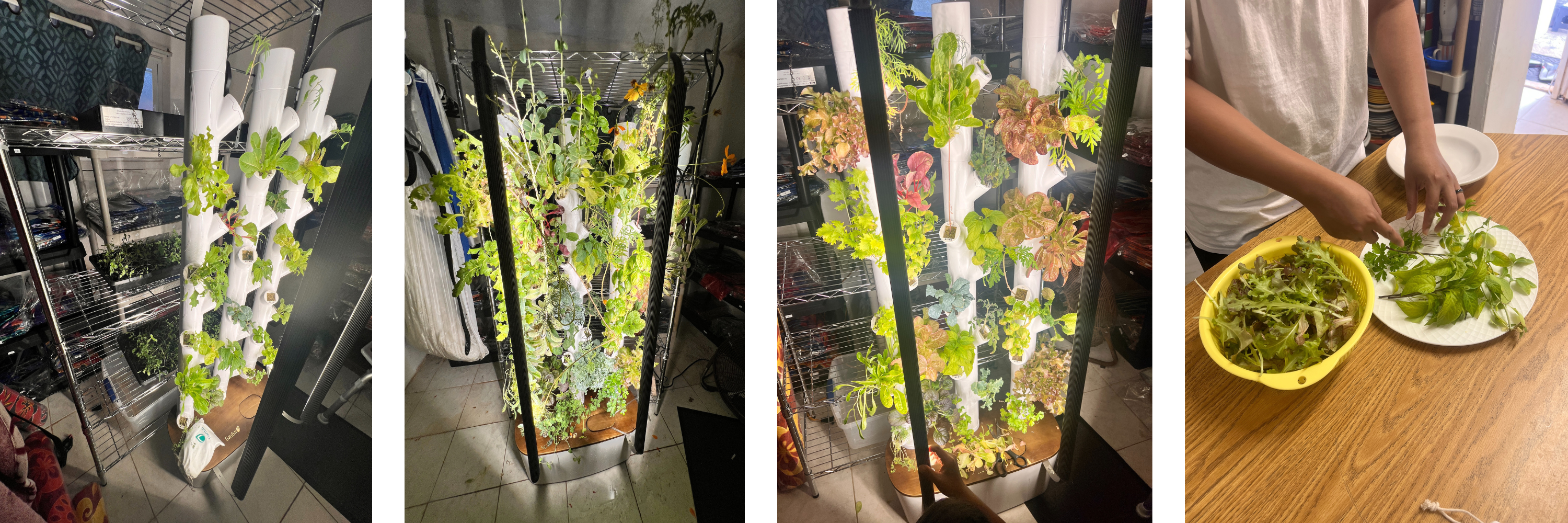 RFP for an Aeroponics System